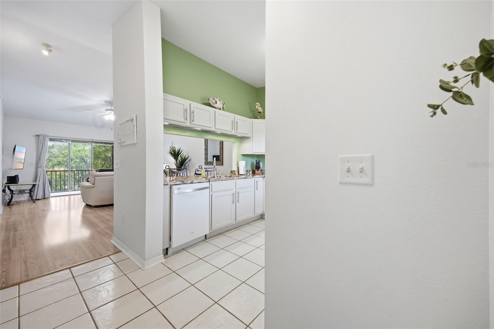 1638 SEASCAPE CIR #1638, TARPON SPRINGS, FL, 34689