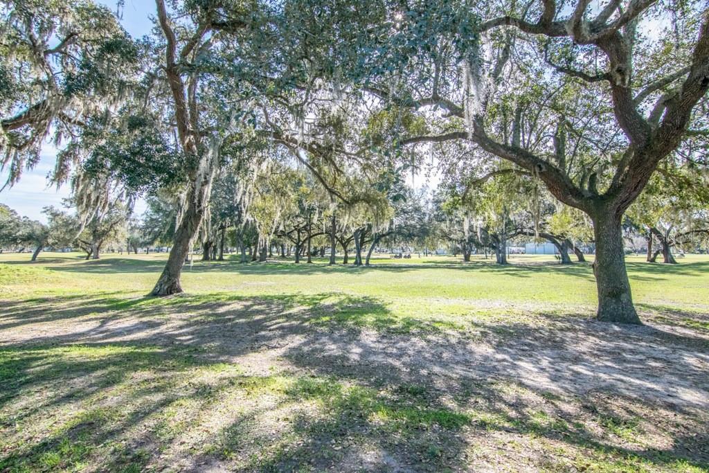 36620 KAY AVE, ZEPHYRHILLS, FL, 33542