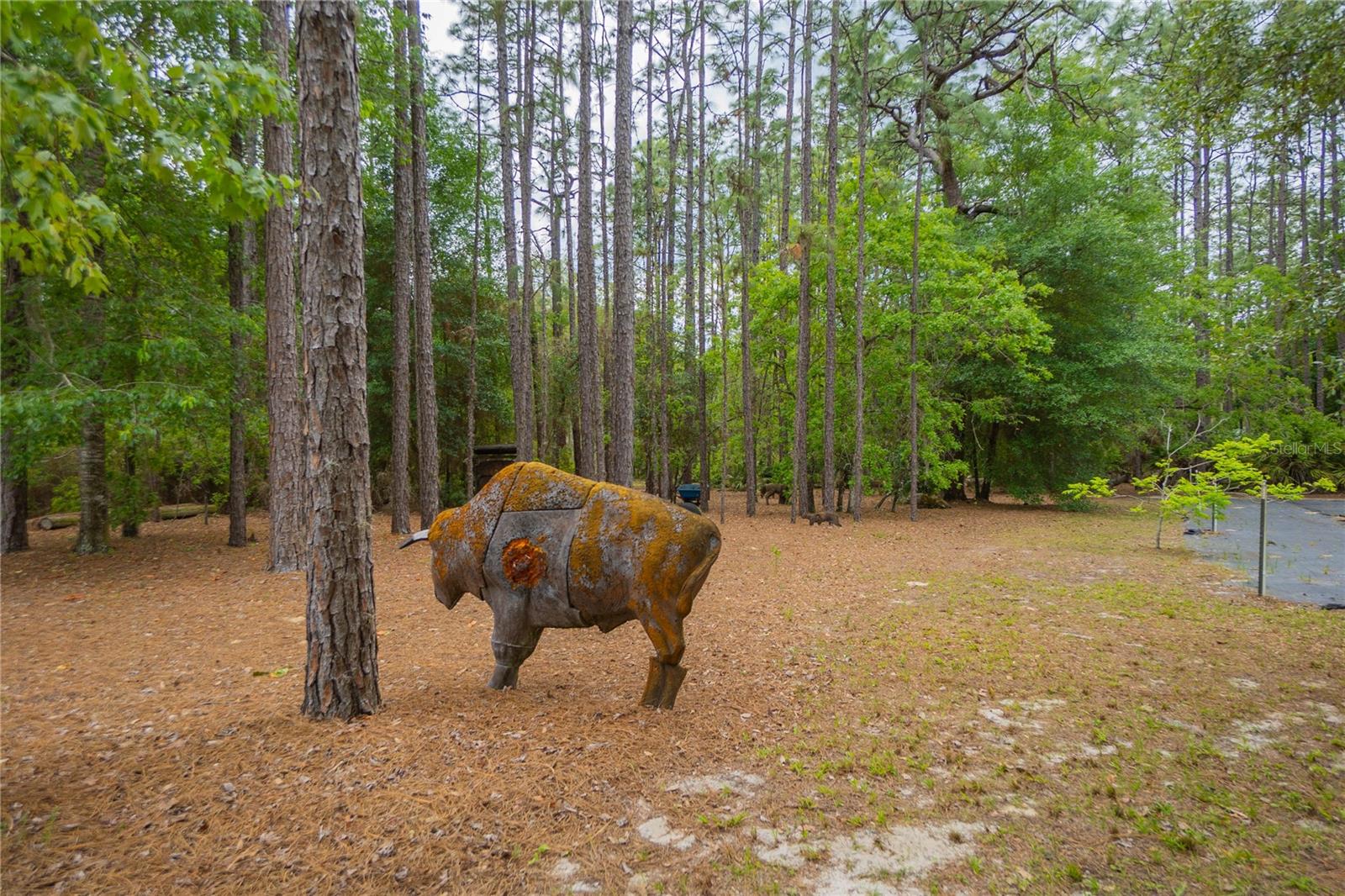 6479 W CANDIER CT, DUNNELLON, FL, 34433