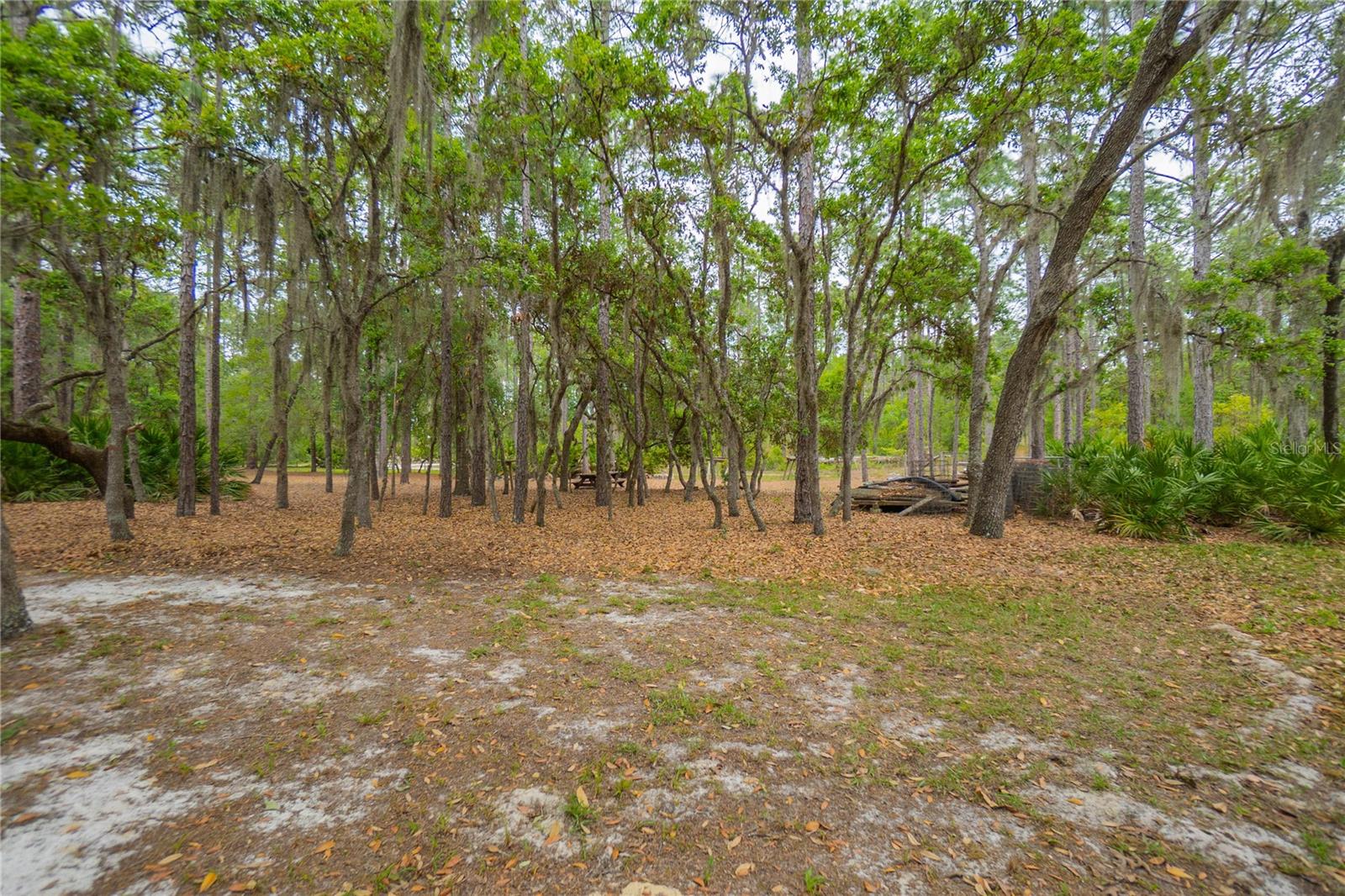 6479 W CANDIER CT, DUNNELLON, FL, 34433