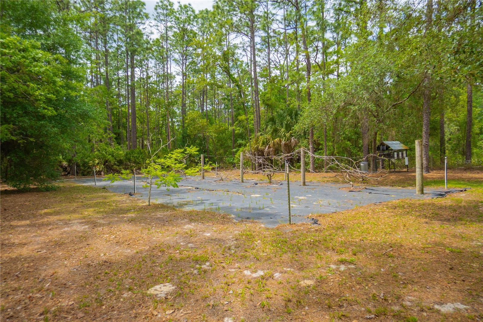 6479 W CANDIER CT, DUNNELLON, FL, 34433