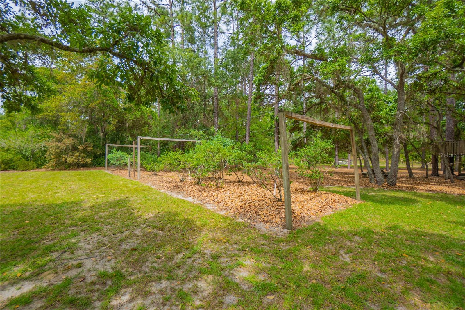 6479 W CANDIER CT, DUNNELLON, FL, 34433