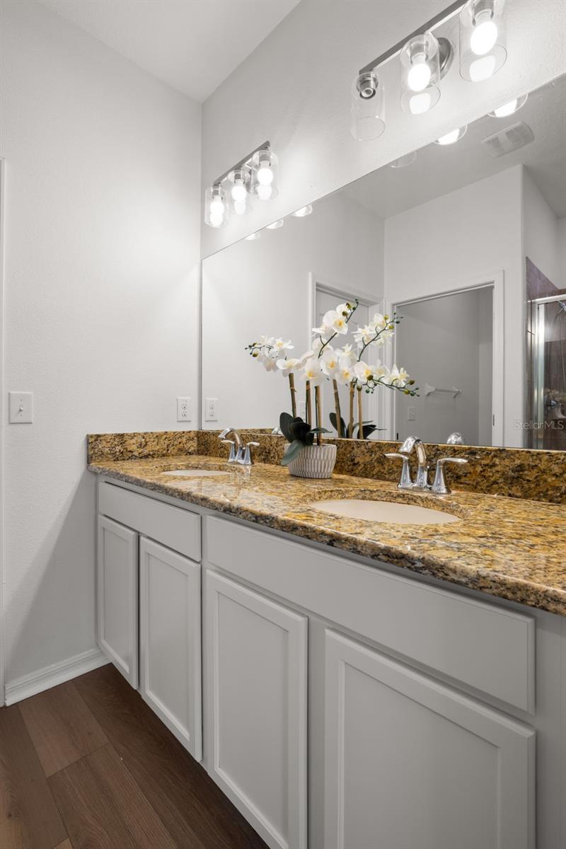 18928 HAMPSTEAD HEATH CT, LAND O LAKES, FL, 34638