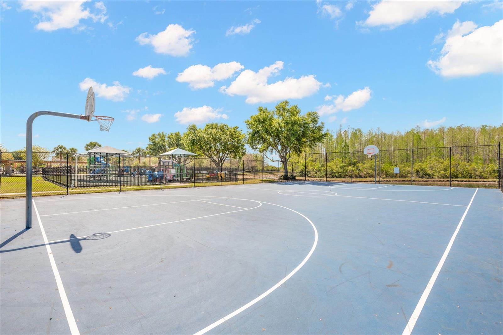 18928 HAMPSTEAD HEATH CT, LAND O LAKES, FL, 34638