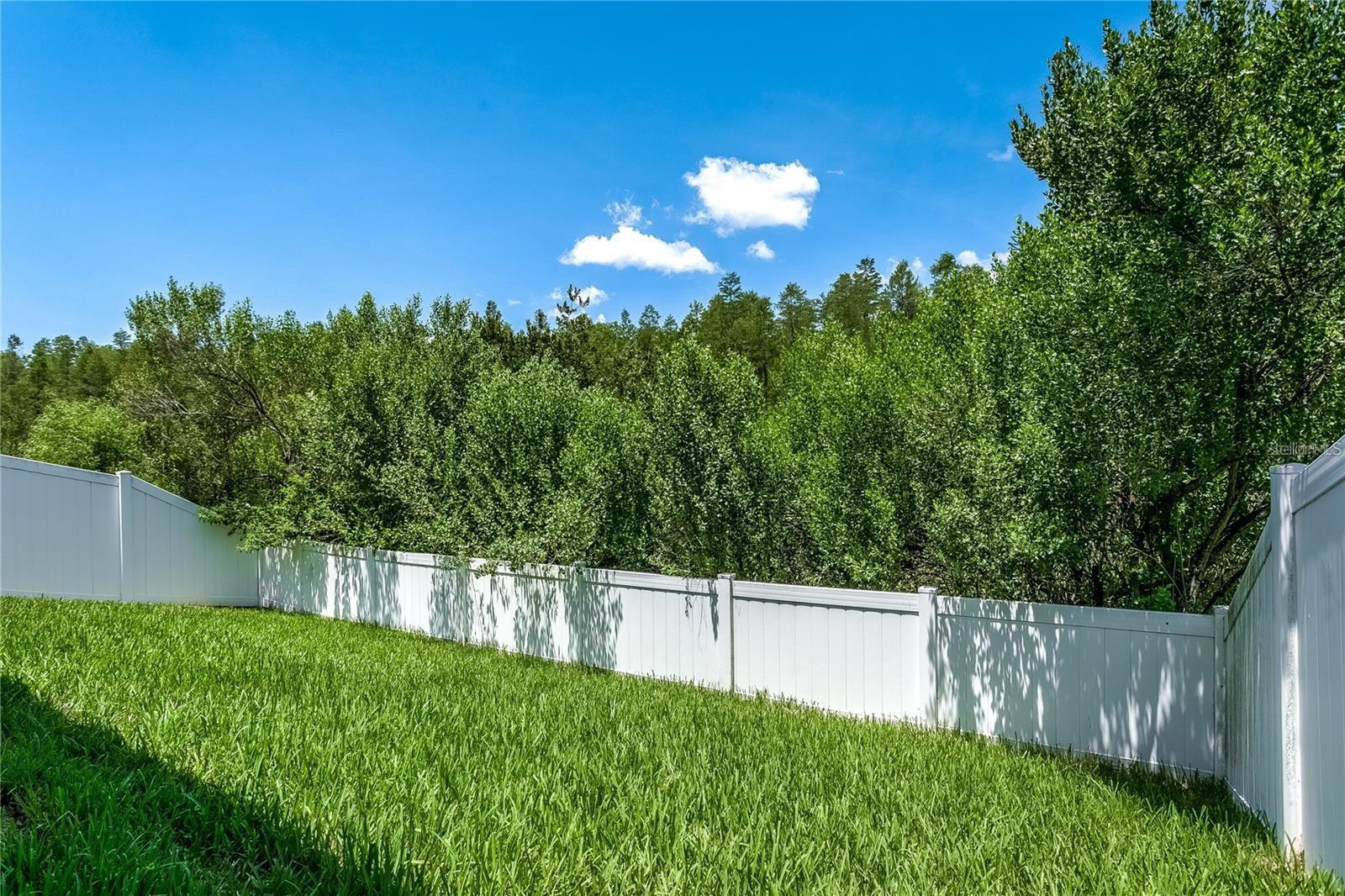 18928 HAMPSTEAD HEATH CT, LAND O LAKES, FL, 34638