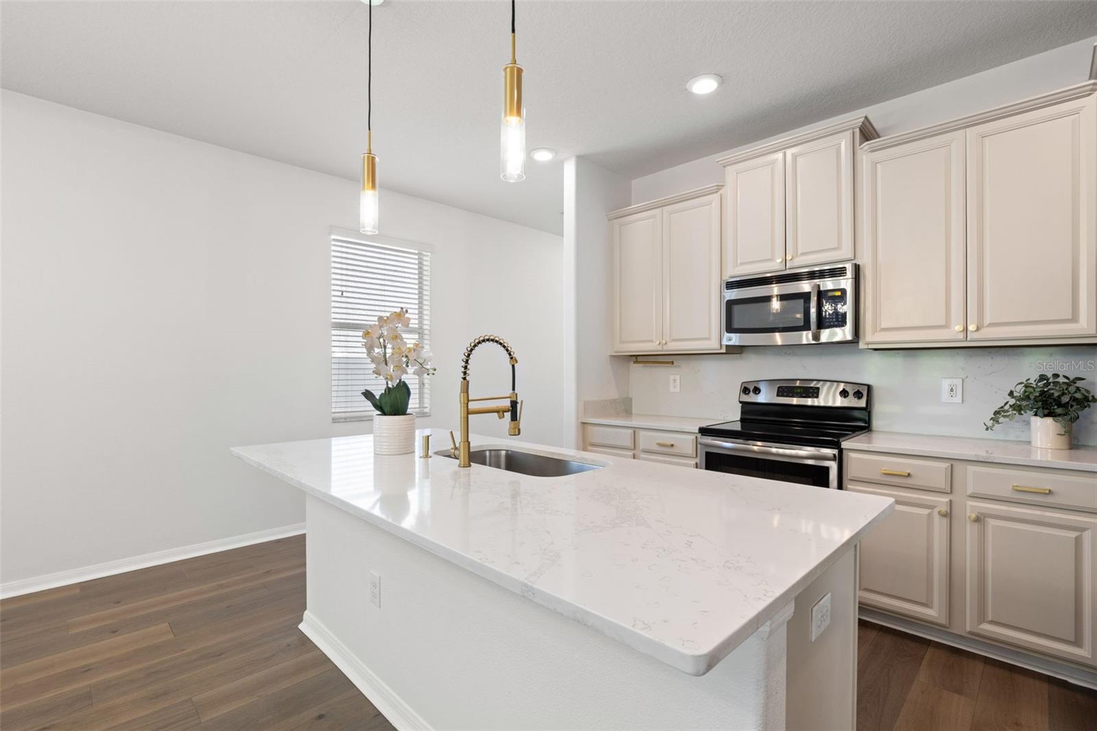 18928 HAMPSTEAD HEATH CT, LAND O LAKES, FL, 34638