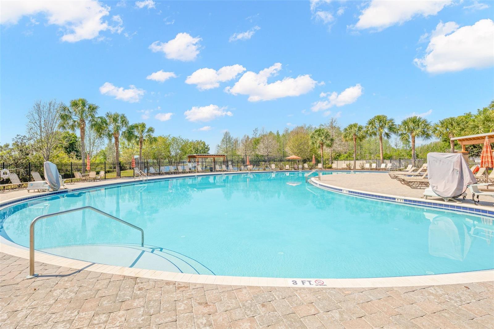 18928 HAMPSTEAD HEATH CT, LAND O LAKES, FL, 34638