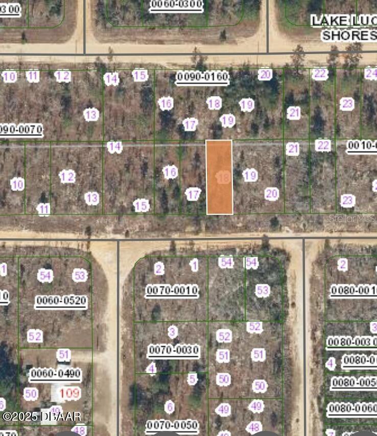 152 1ST AVE, INTERLACHEN, FL, 32148