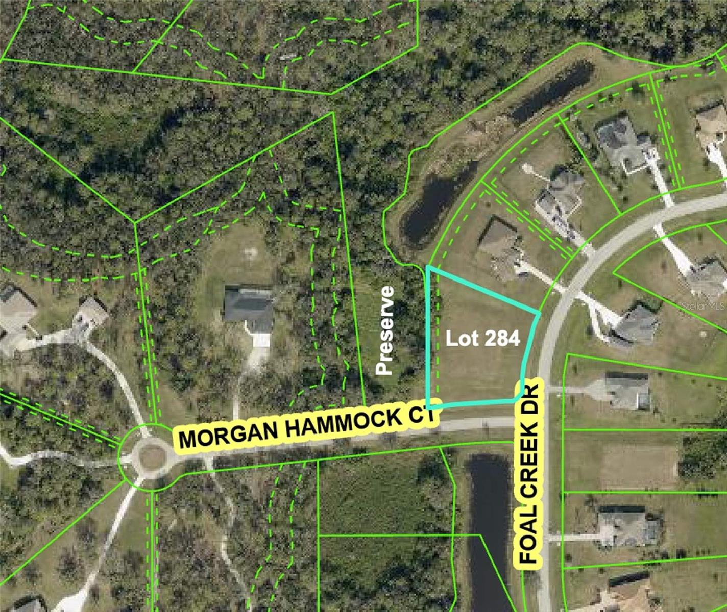 6211 FOAL CREEK DR, PARRISH, FL, 34219