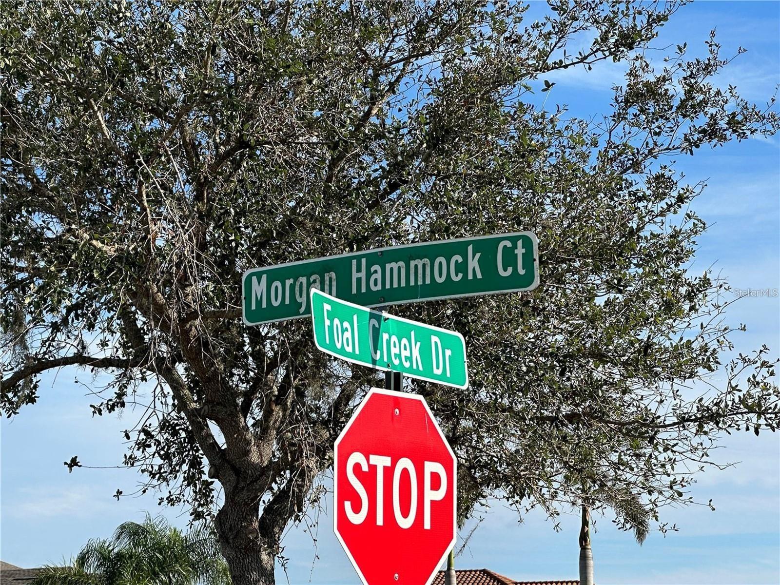 6211 FOAL CREEK DR, PARRISH, FL, 34219