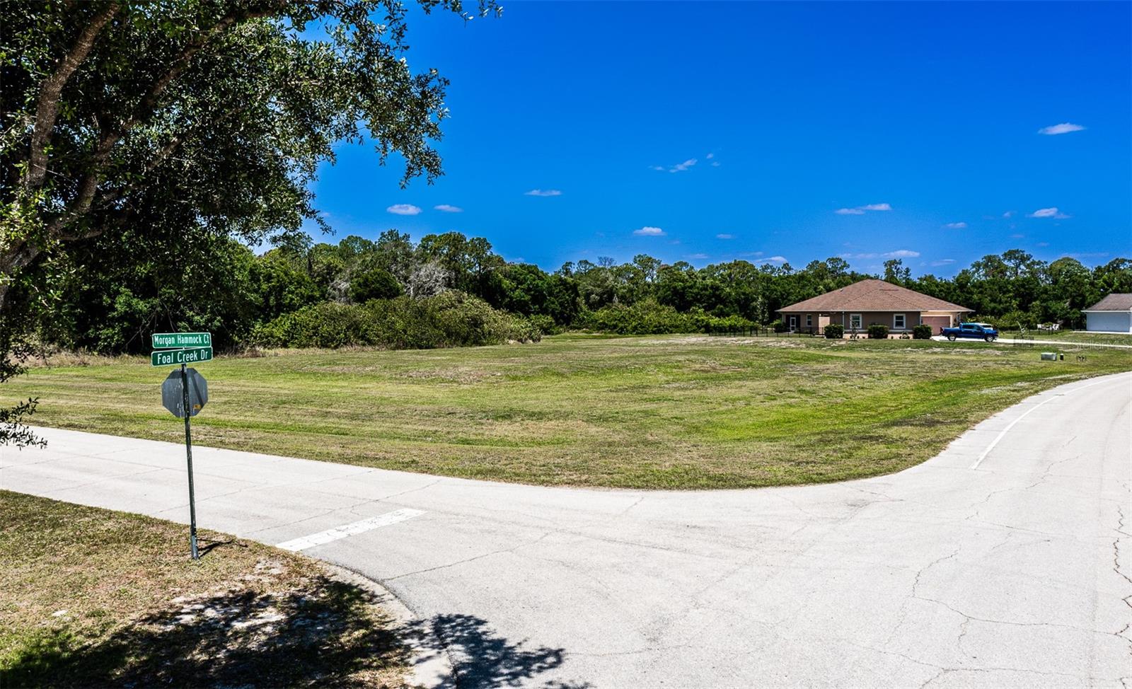 6211 FOAL CREEK DR, PARRISH, FL, 34219