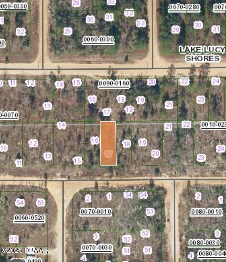 154 1ST AVE, INTERLACHEN, FL, 32148