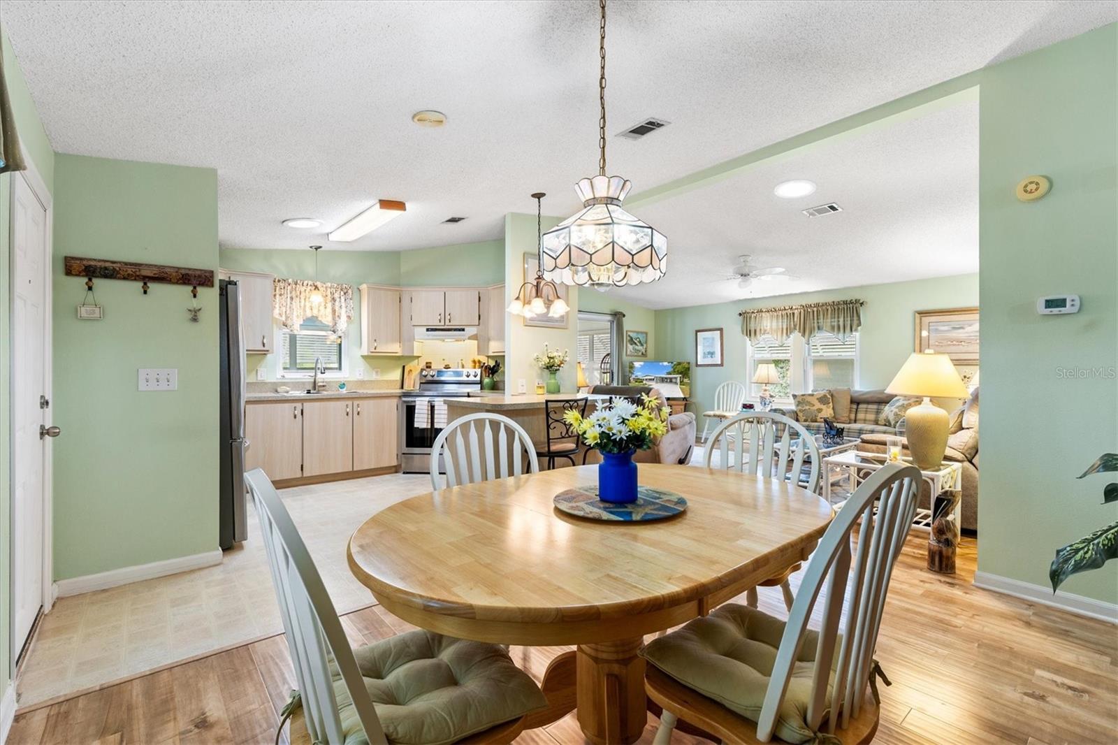 1228 PALMETTO DR, THE VILLAGES, FL, 32159