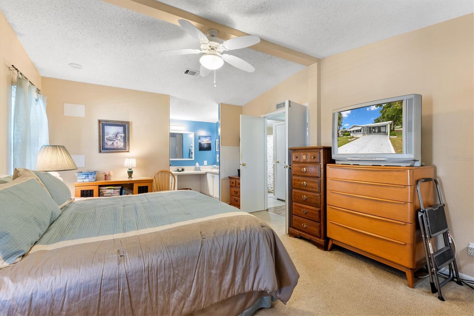 1228 PALMETTO DR, THE VILLAGES, FL, 32159