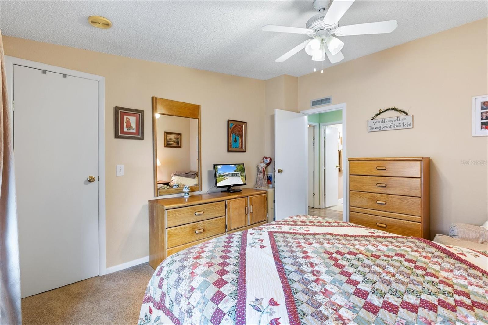 1228 PALMETTO DR, THE VILLAGES, FL, 32159