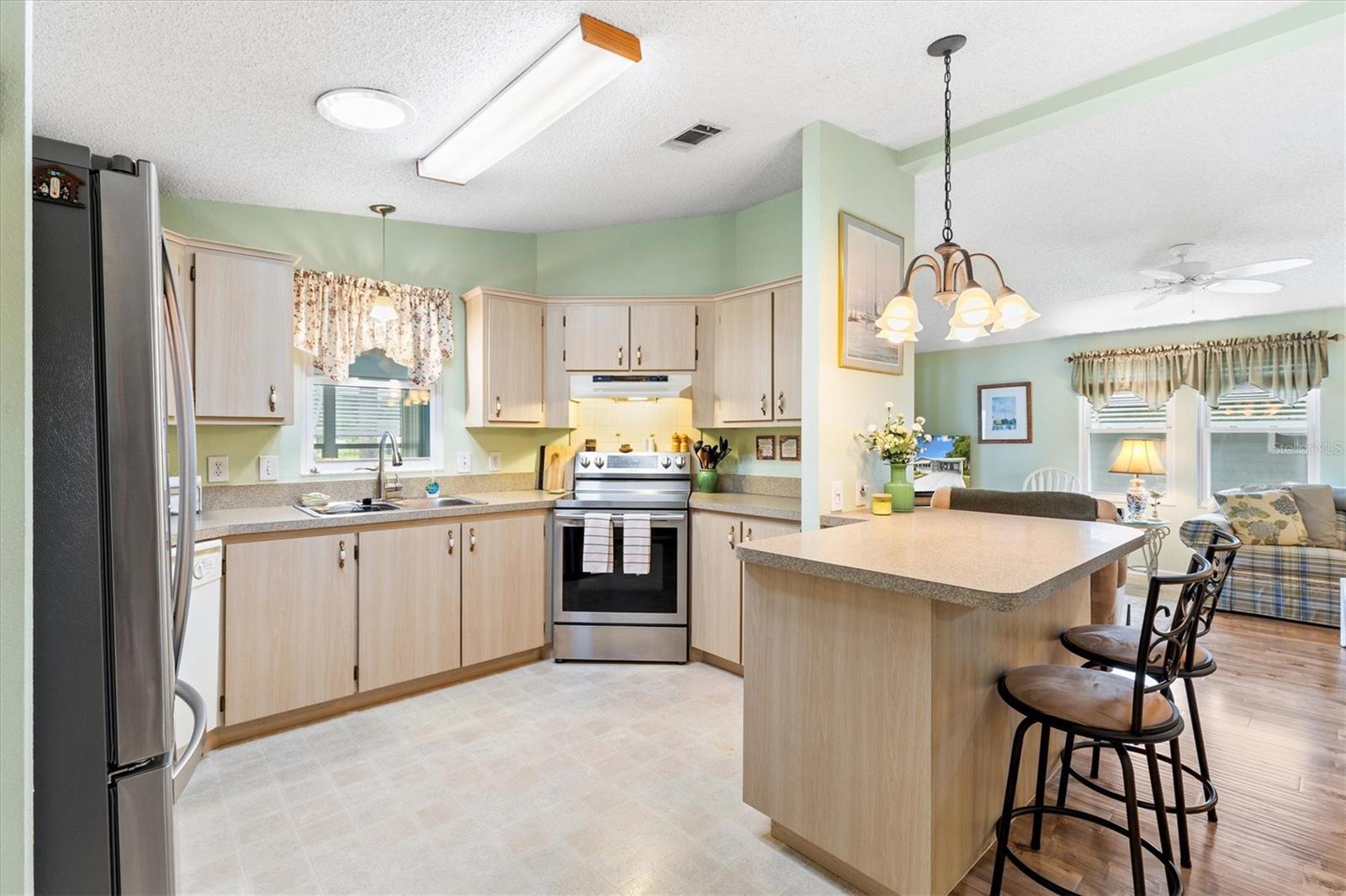 1228 PALMETTO DR, THE VILLAGES, FL, 32159