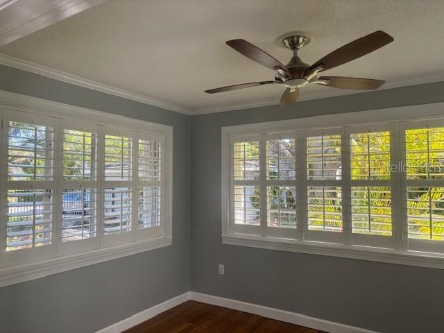 559 CHICAGO AVE, DUNEDIN, FL, 34698