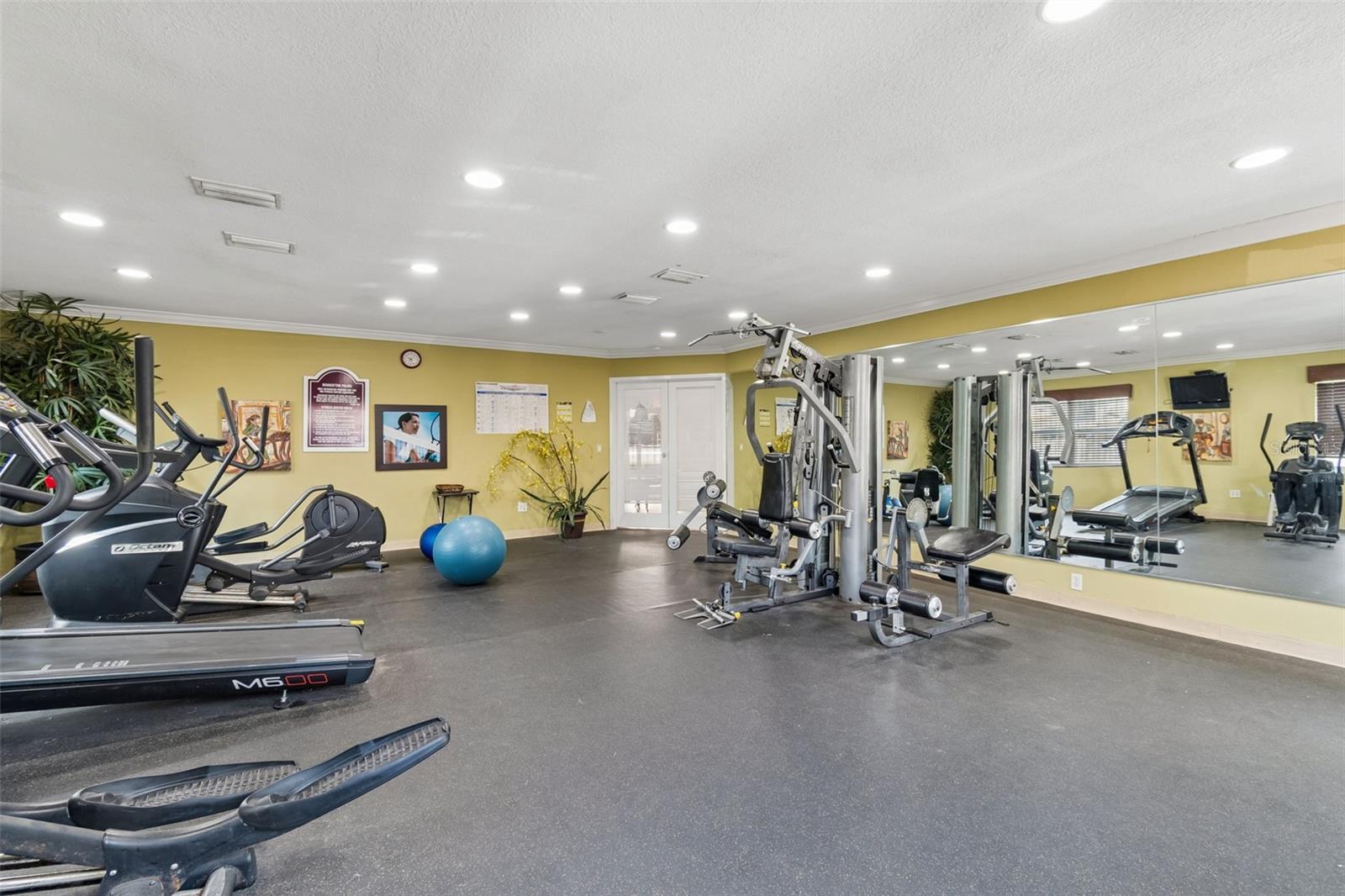 7210 N MANHATTAN AVE #523, TAMPA, FL, 33614