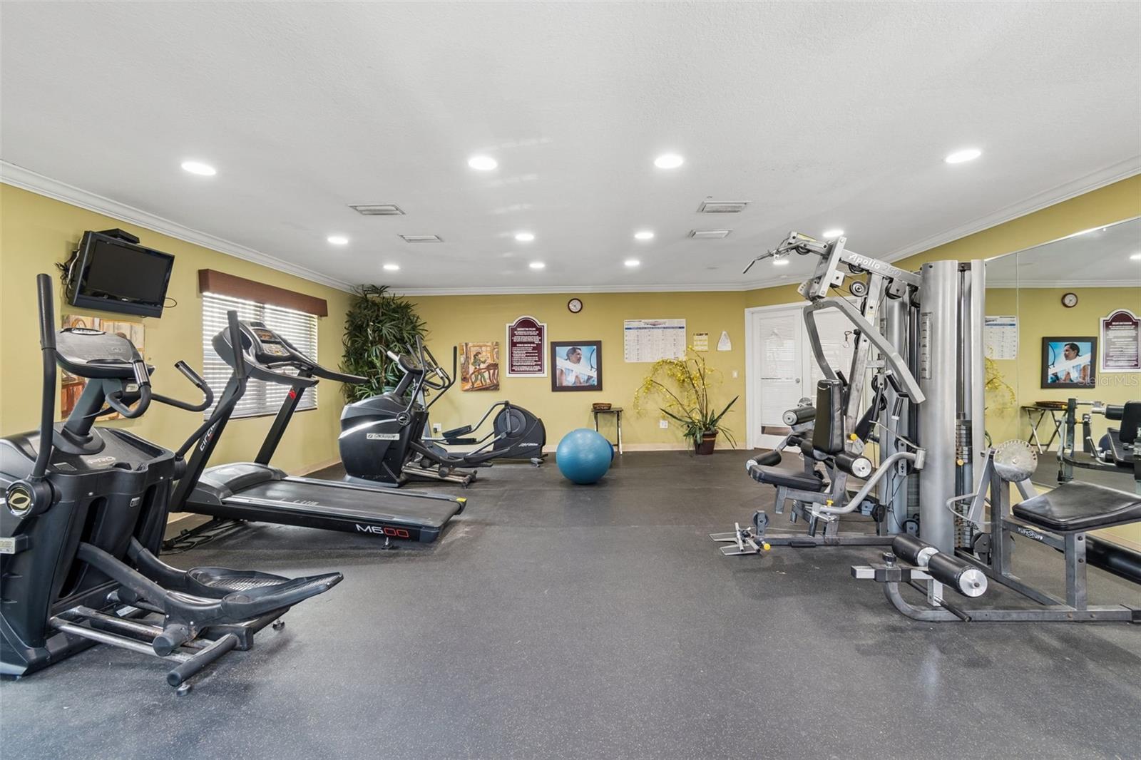 7210 N MANHATTAN AVE #523, TAMPA, FL, 33614