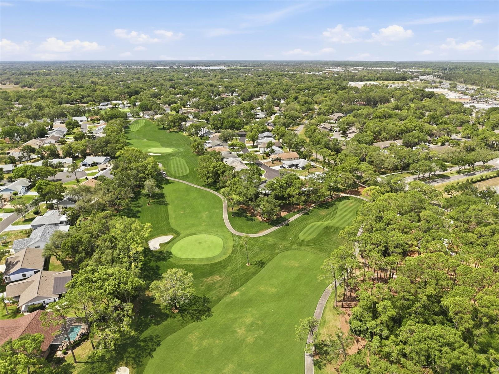6463 PUTTERS CIR, SPRING HILL, FL, 34606