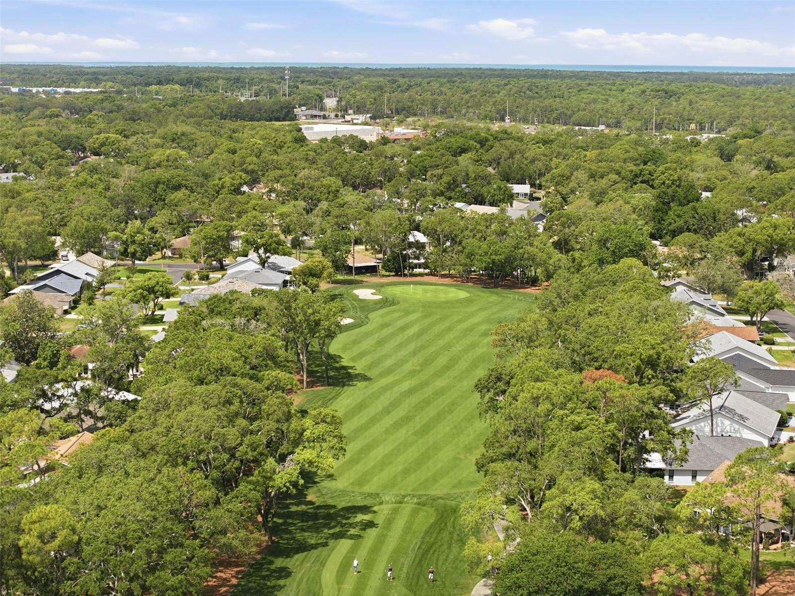 6463 PUTTERS CIR, SPRING HILL, FL, 34606