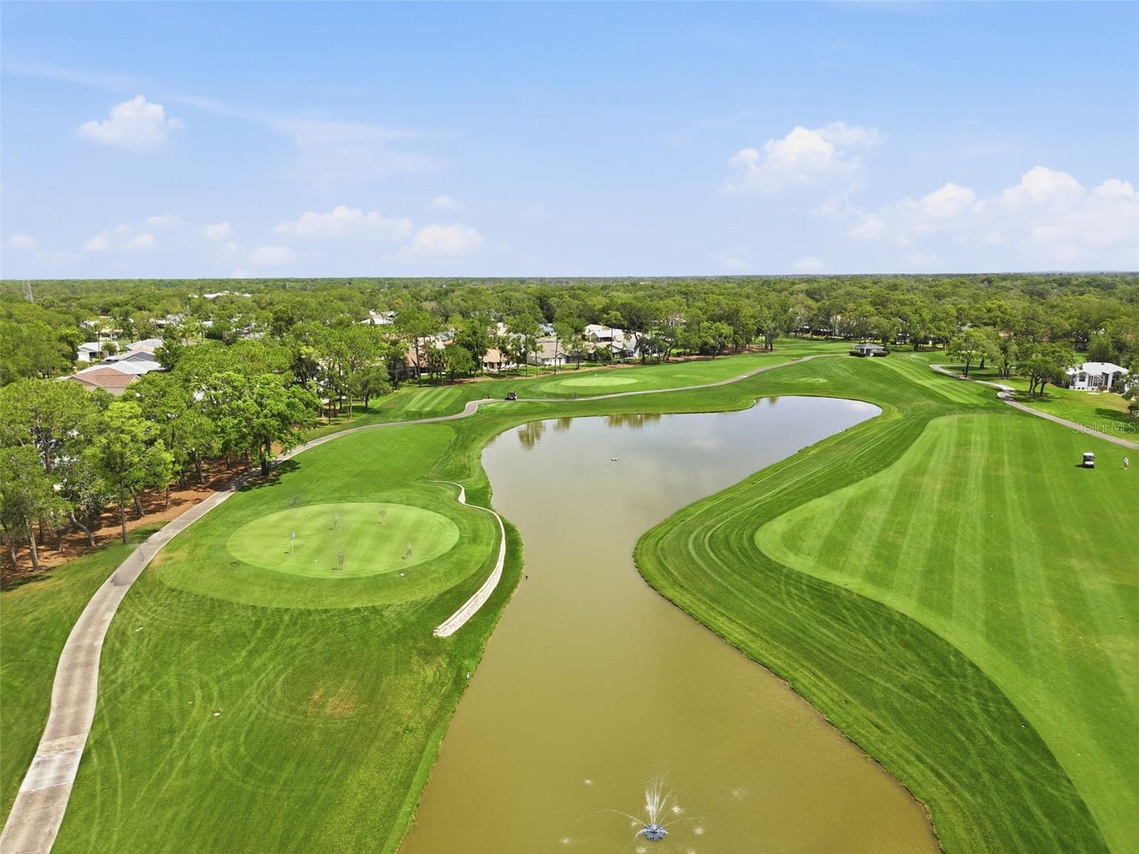 6463 PUTTERS CIR, SPRING HILL, FL, 34606