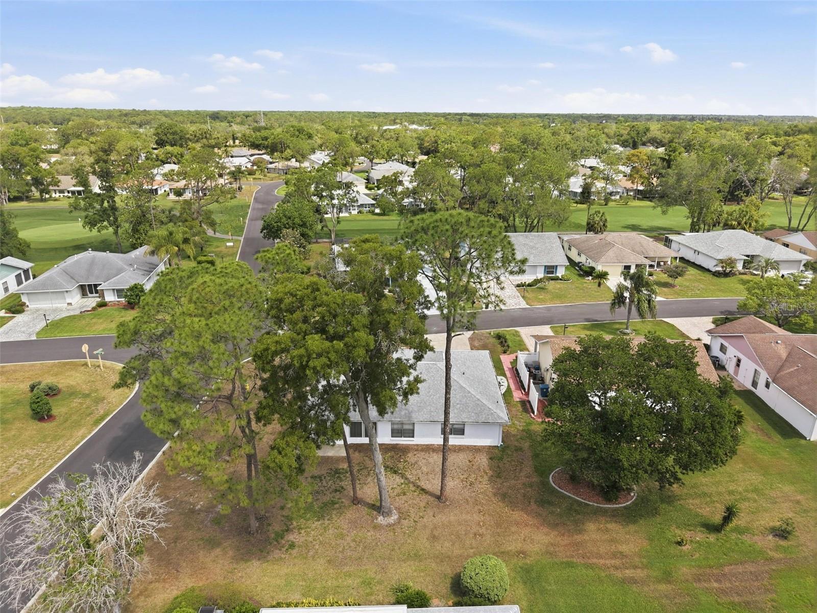 6463 PUTTERS CIR, SPRING HILL, FL, 34606
