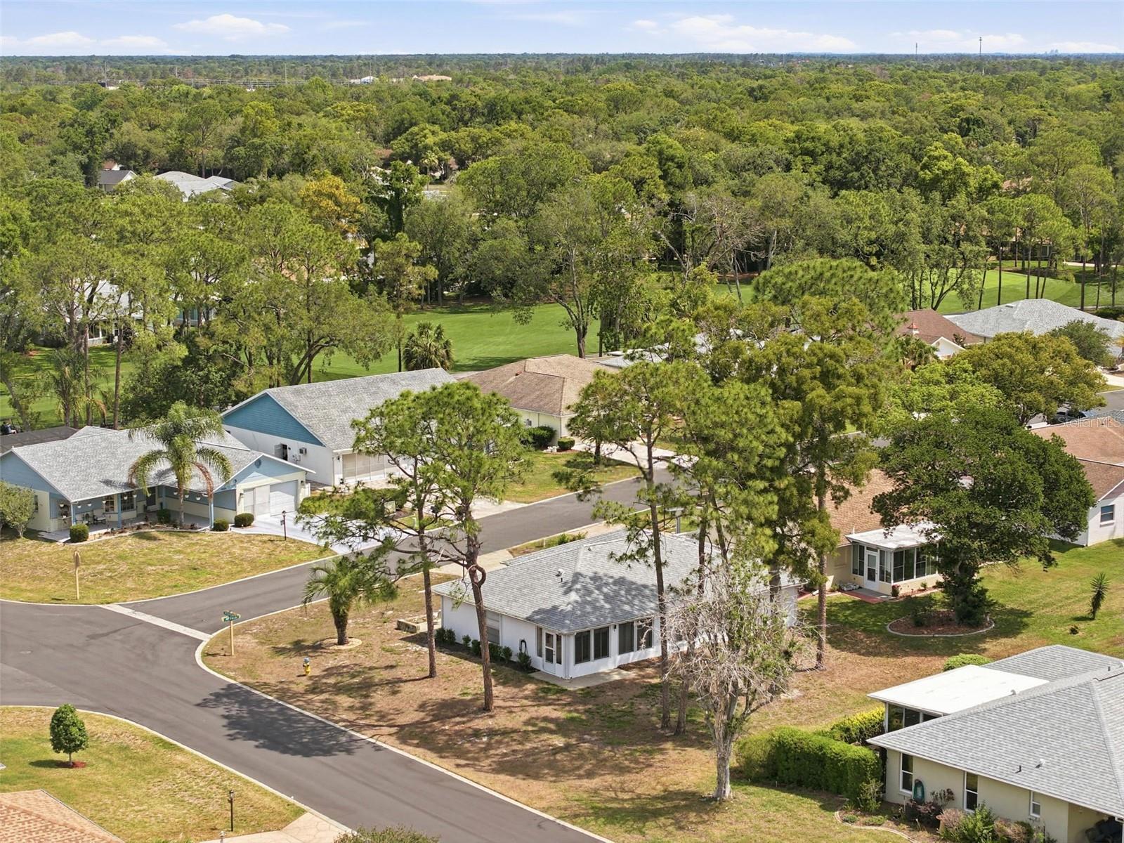 6463 PUTTERS CIR, SPRING HILL, FL, 34606