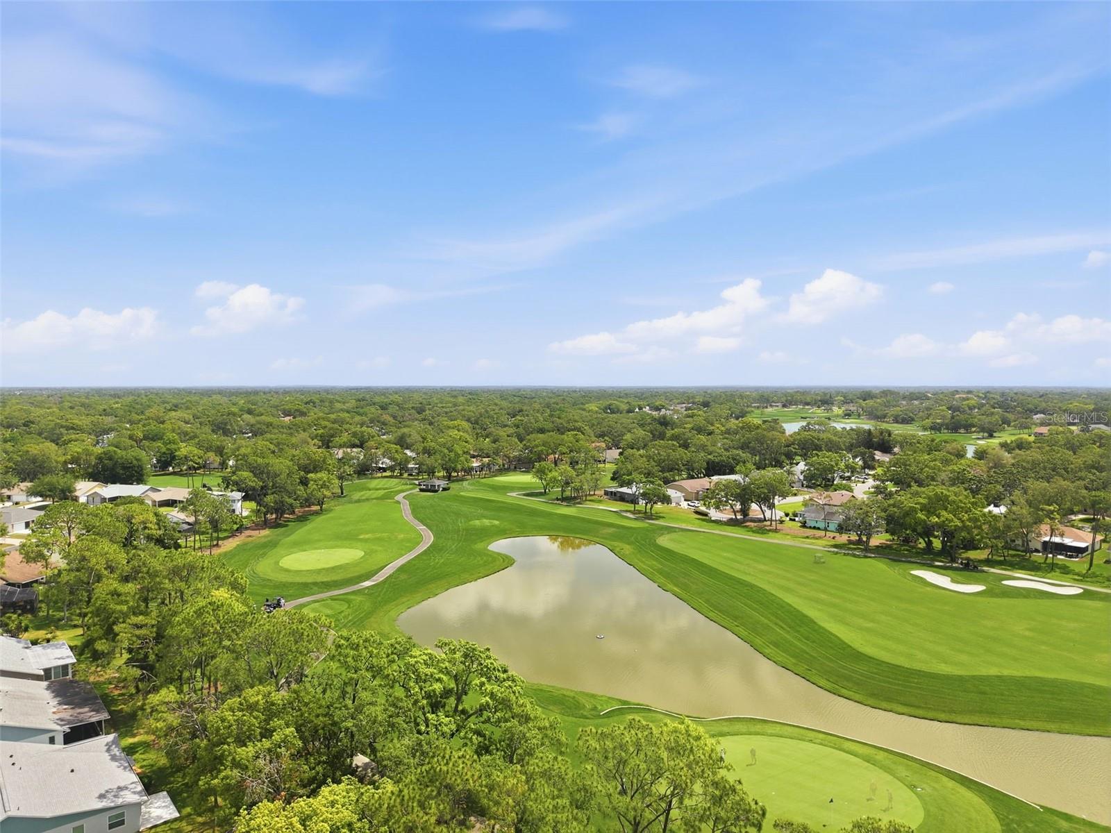6463 PUTTERS CIR, SPRING HILL, FL, 34606
