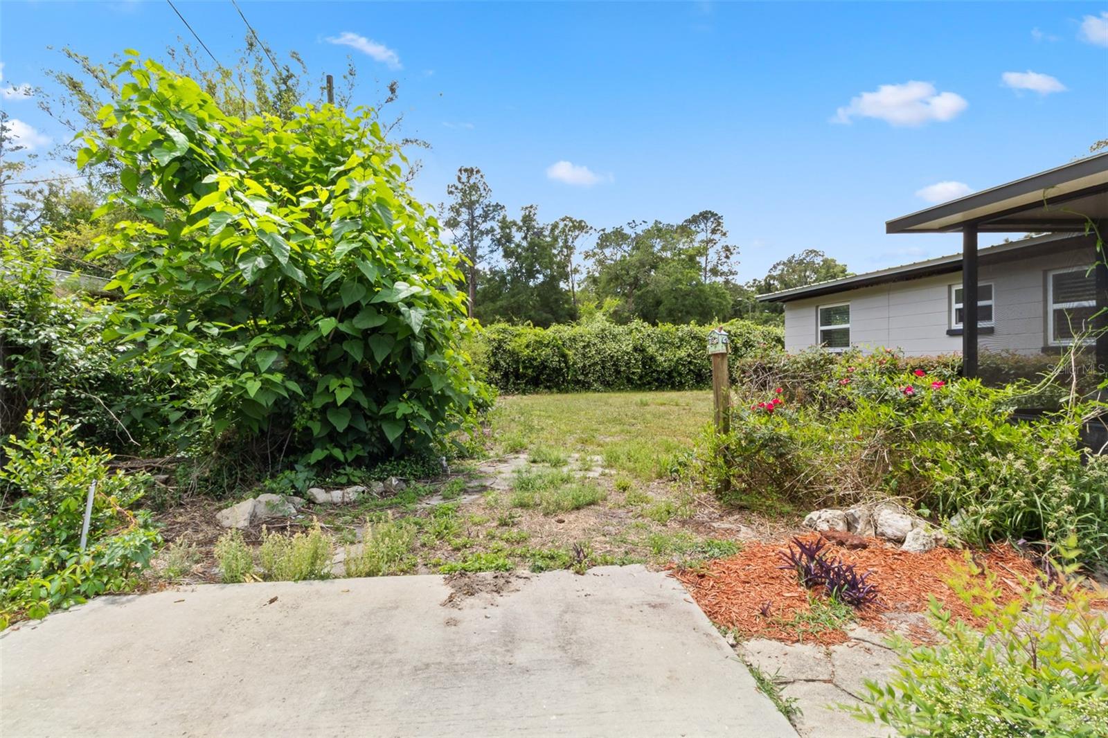 17351 NW 243RD ST, HIGH SPRINGS, FL, 32643