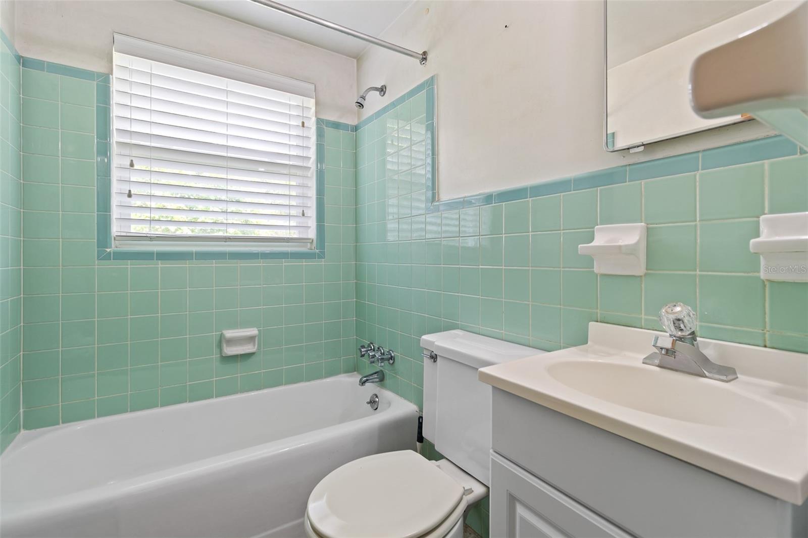 17351 NW 243RD ST, HIGH SPRINGS, FL, 32643