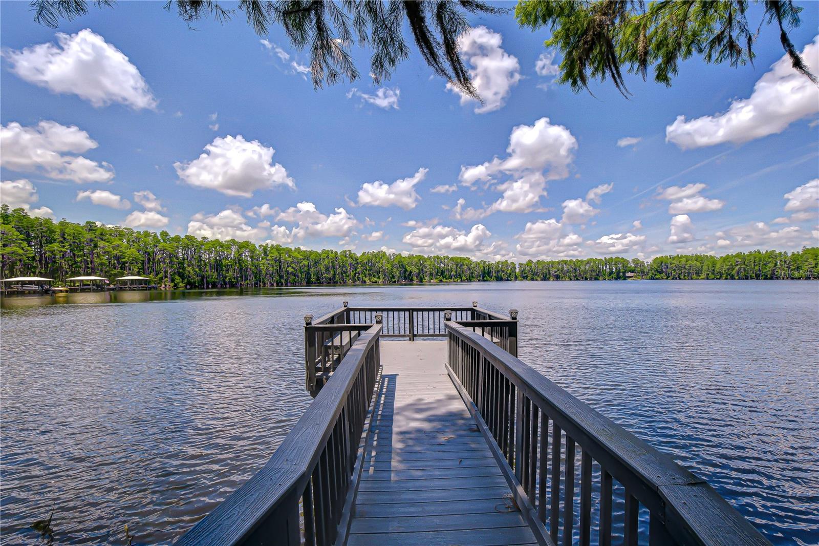 20915 LAKE VIENNA DR, LAND O LAKES, FL, 34638