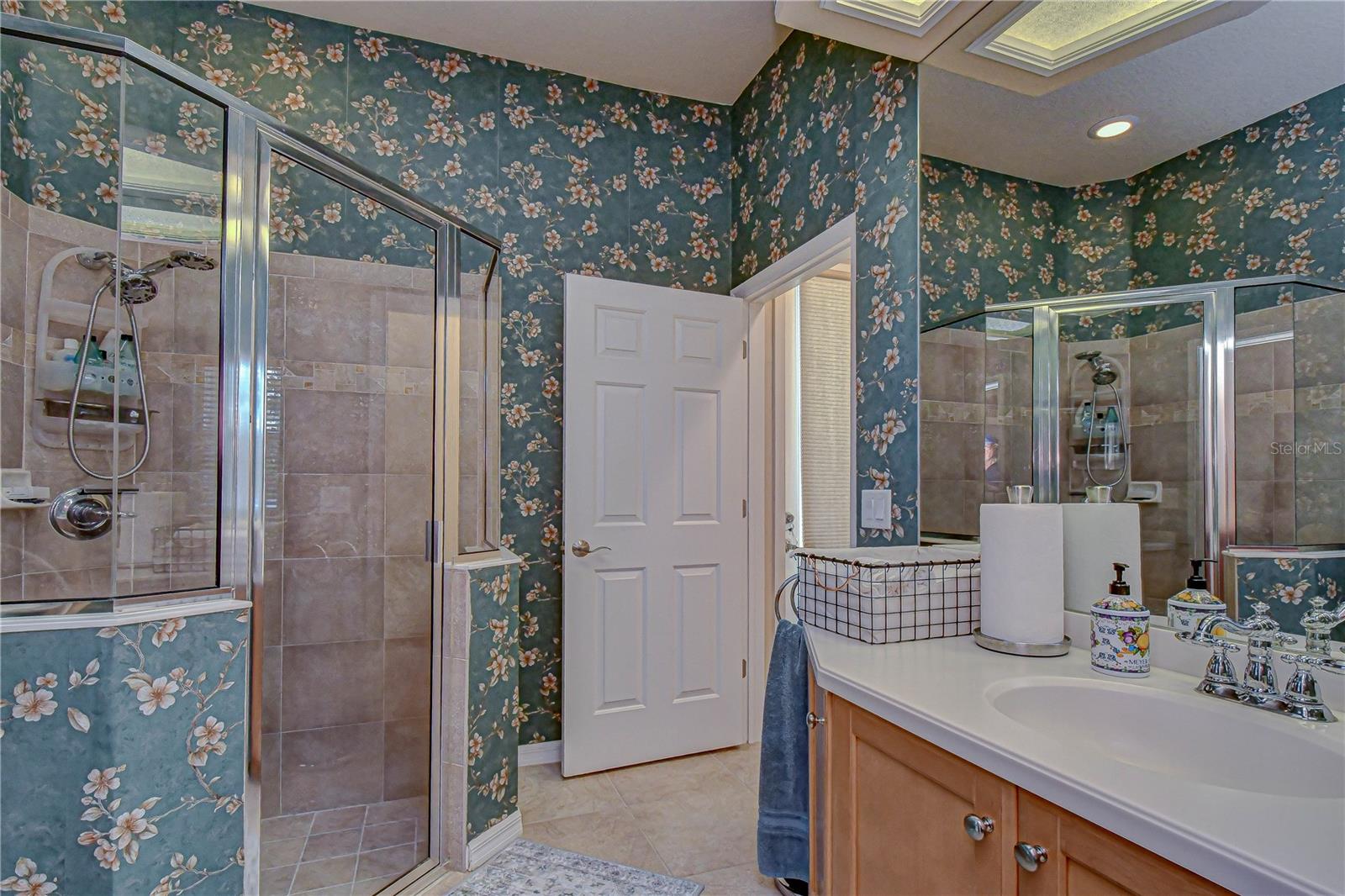 20915 LAKE VIENNA DR, LAND O LAKES, FL, 34638