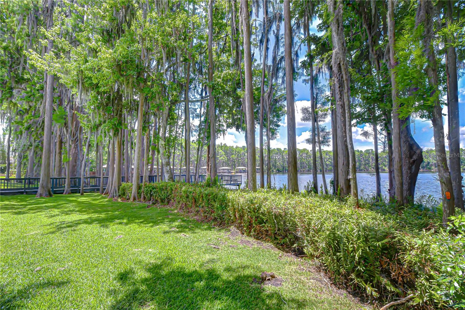 20915 LAKE VIENNA DR, LAND O LAKES, FL, 34638
