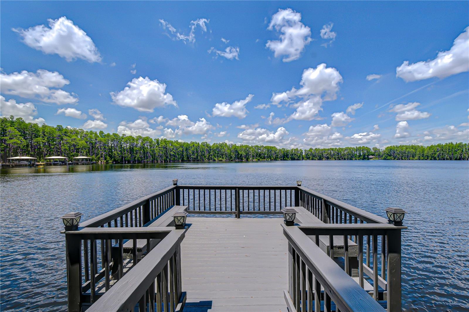 20915 LAKE VIENNA DR, LAND O LAKES, FL, 34638