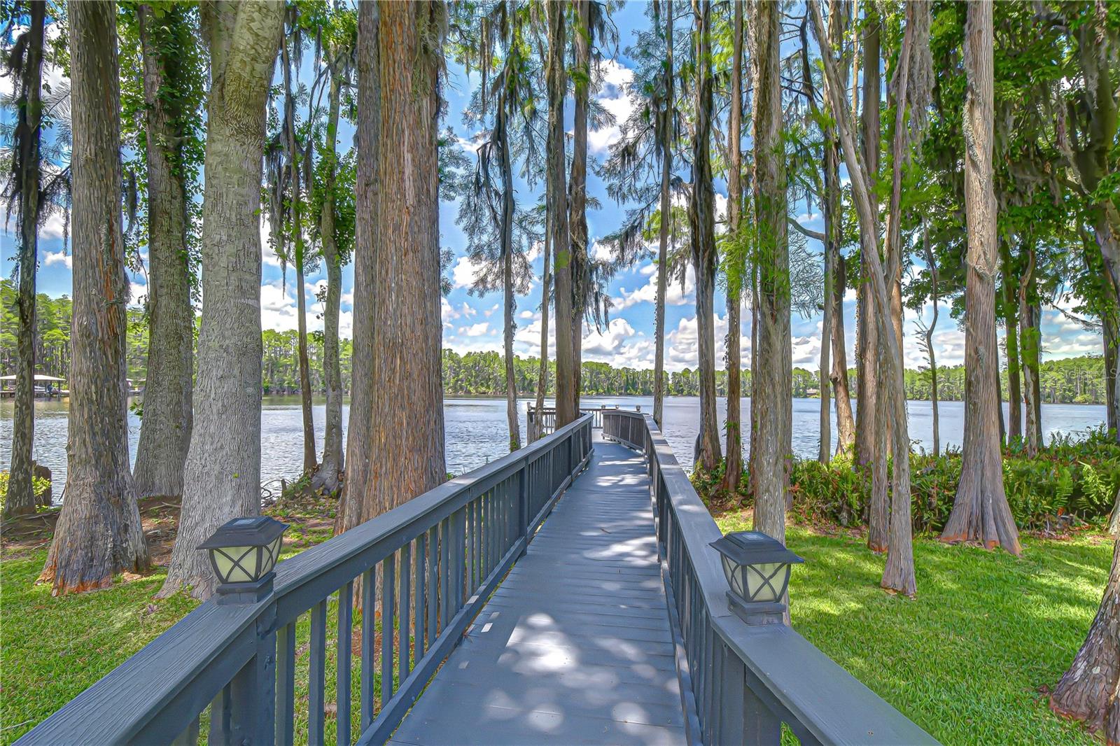 20915 LAKE VIENNA DR, LAND O LAKES, FL, 34638