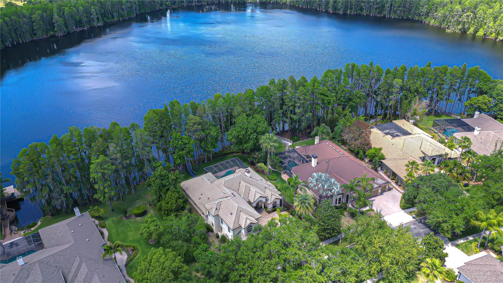 20915 LAKE VIENNA DR, LAND O LAKES, FL, 34638