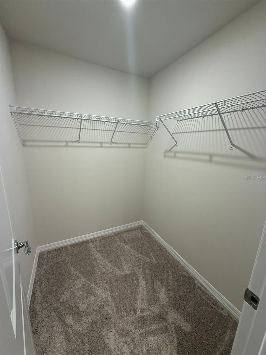 16292 BRIGHT LEAF RD, WINTER GARDEN, FL, 34787