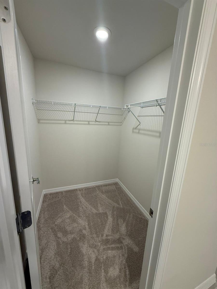 16292 BRIGHT LEAF RD, WINTER GARDEN, FL, 34787