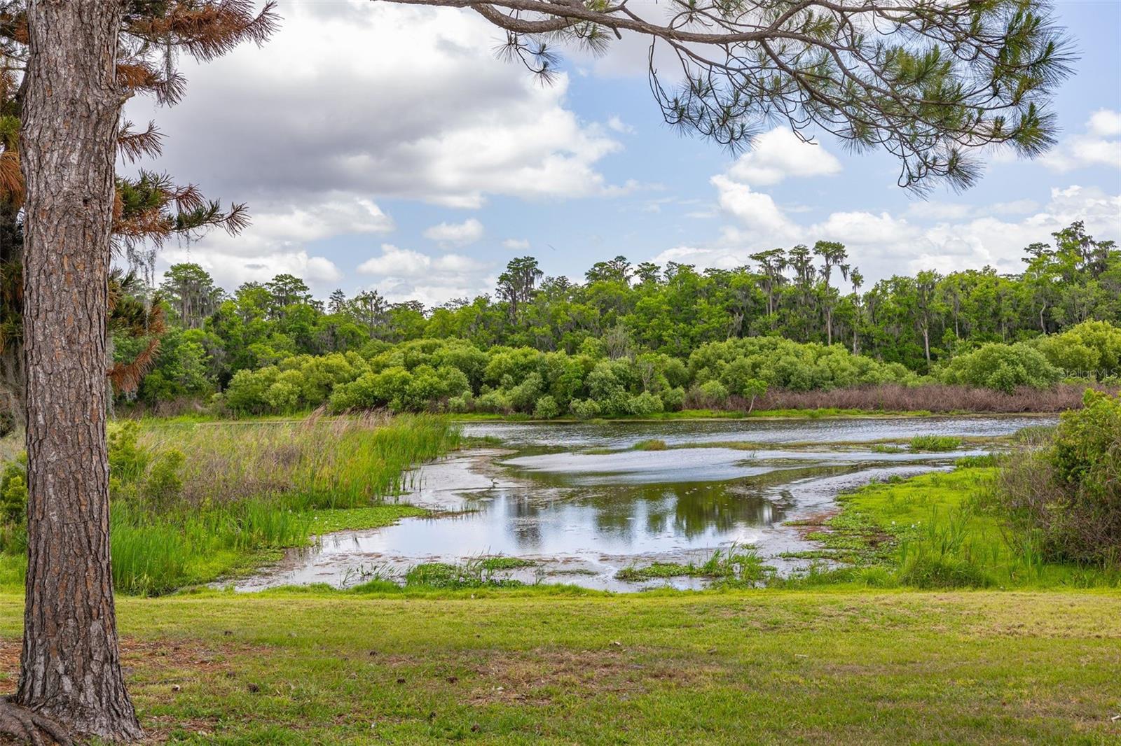 5208 DEER CREEK DR, ORLANDO, FL, 32821