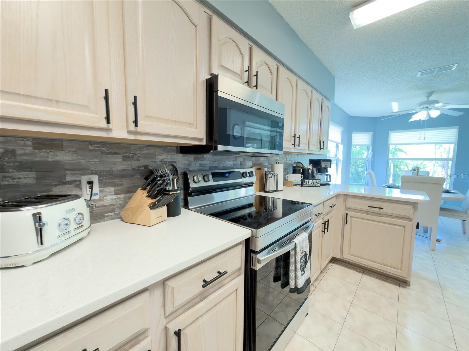 32676 OAK PARK DR, LEESBURG, FL, 34748