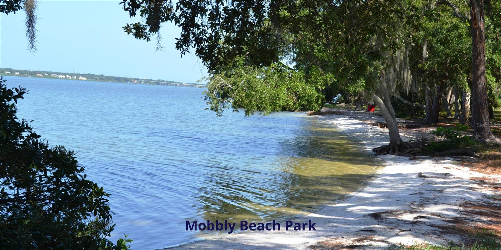 105 KILSYTHE ST, OLDSMAR, FL, 34677