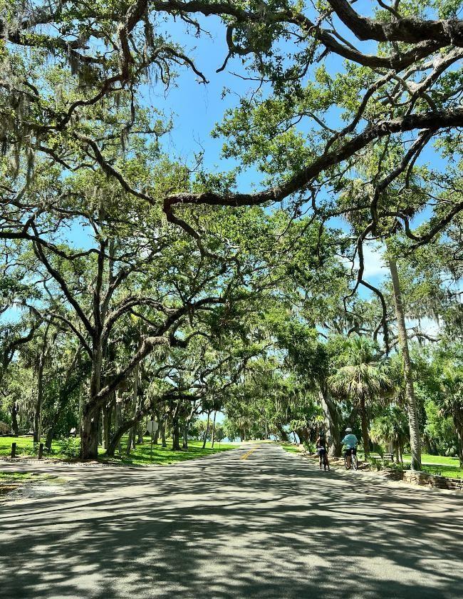 105 KILSYTHE ST, OLDSMAR, FL, 34677