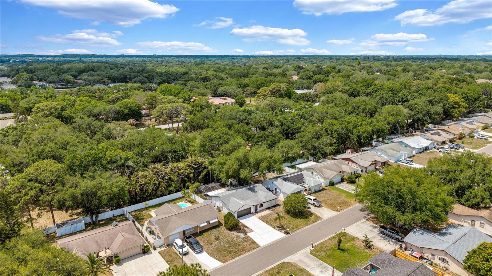 2115 GLEN DR, SAFETY HARBOR, FL, 34695