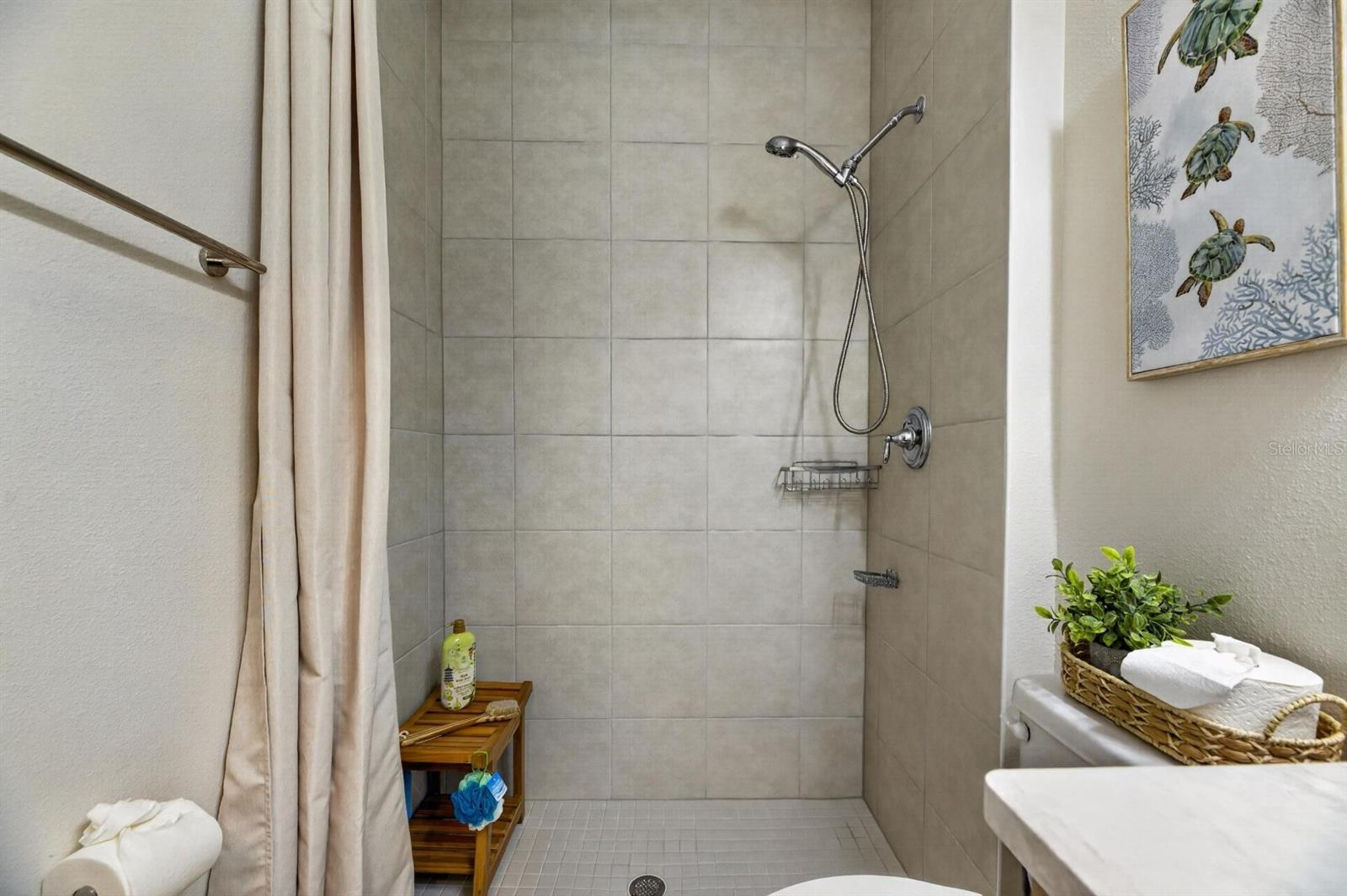 6081 HIDDEN BRANCH DR, APOLLO BEACH, FL, 33572