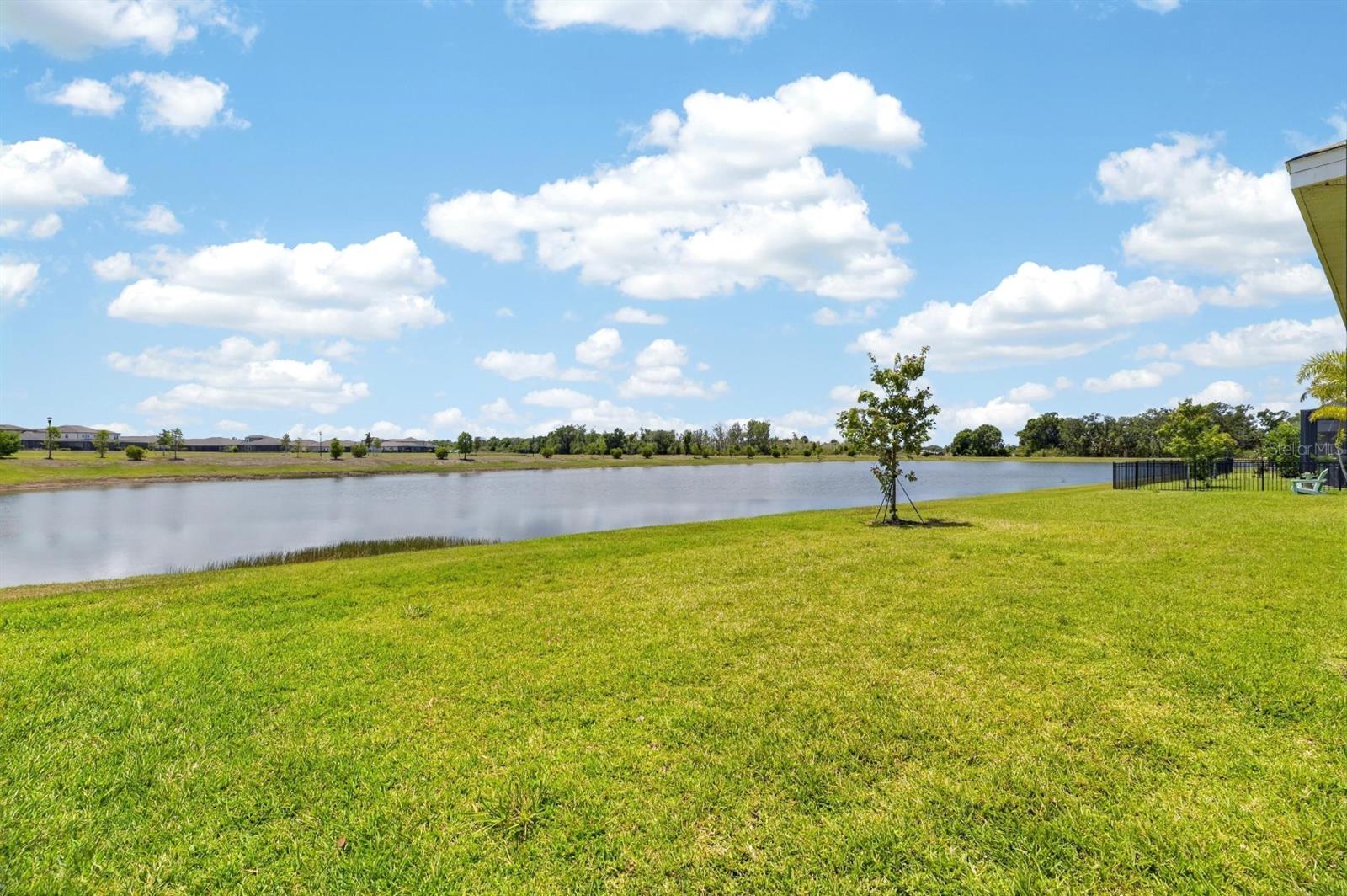 6081 HIDDEN BRANCH DR, APOLLO BEACH, FL, 33572