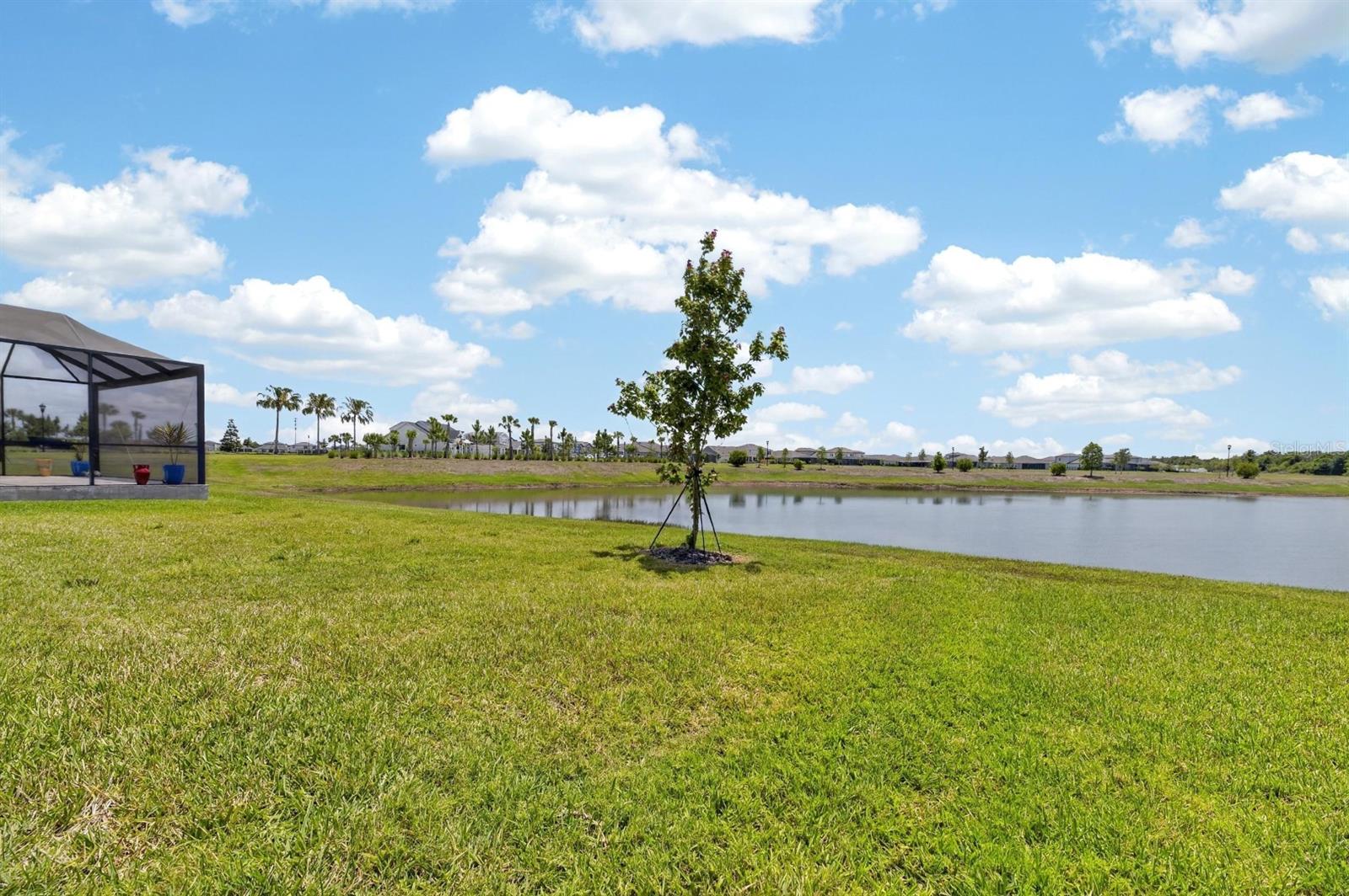 6081 HIDDEN BRANCH DR, APOLLO BEACH, FL, 33572