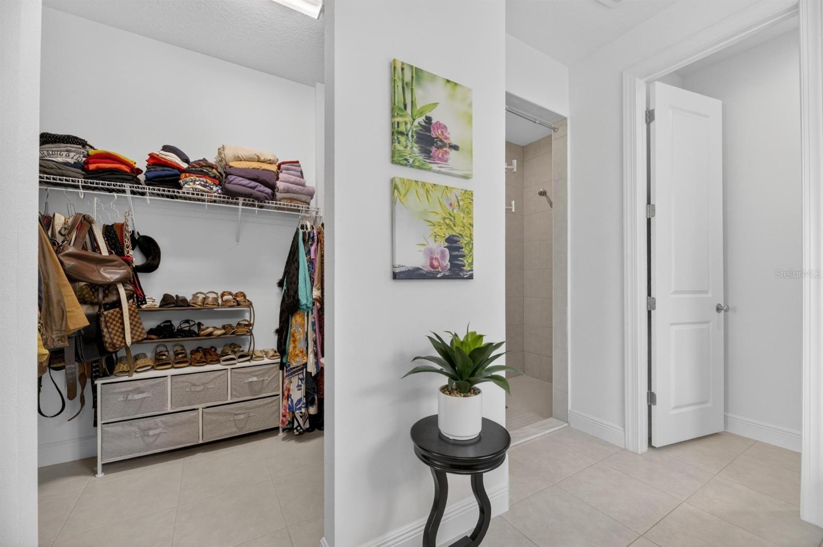 6081 HIDDEN BRANCH DR, APOLLO BEACH, FL, 33572