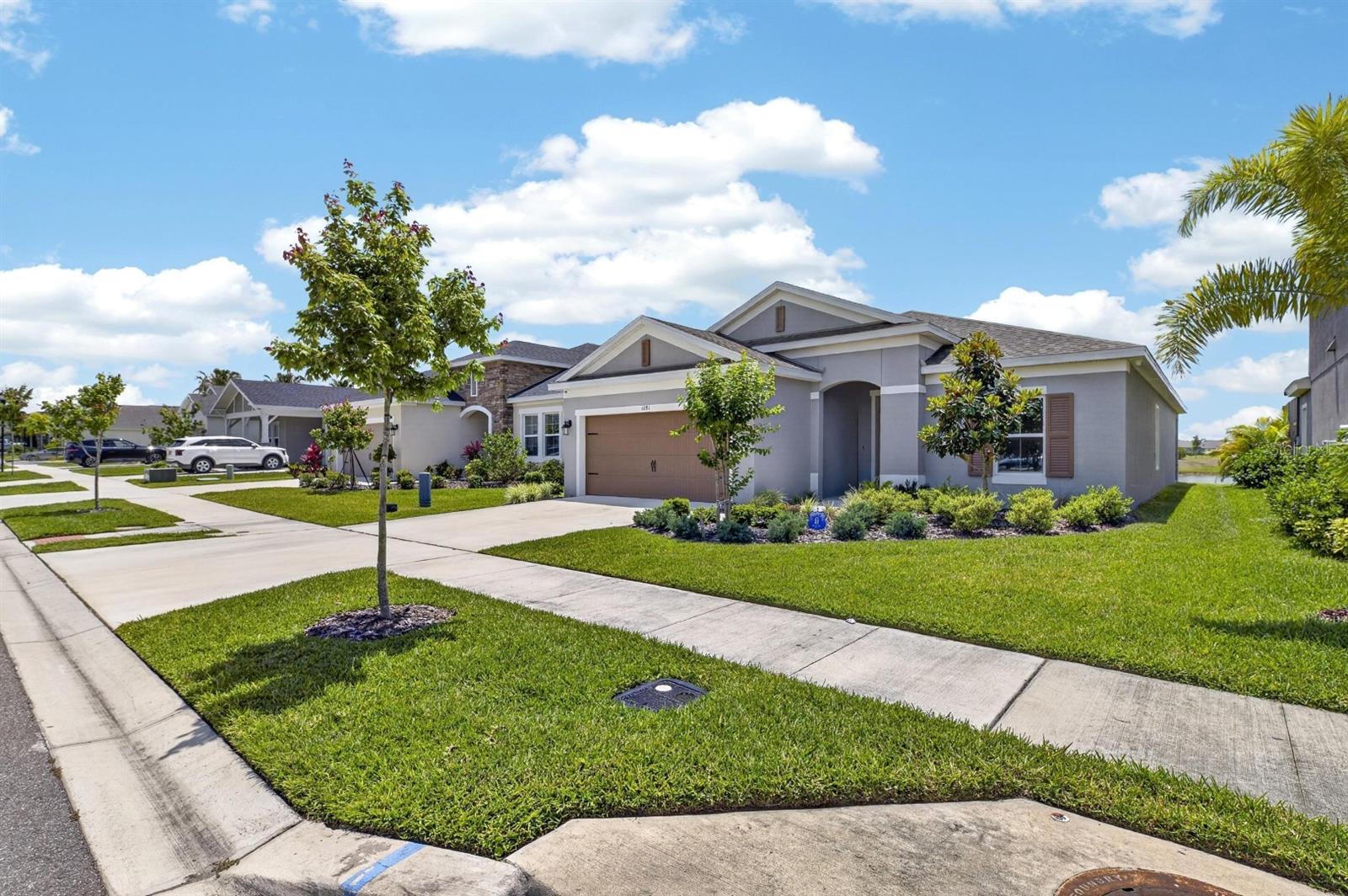 6081 HIDDEN BRANCH DR, APOLLO BEACH, FL, 33572