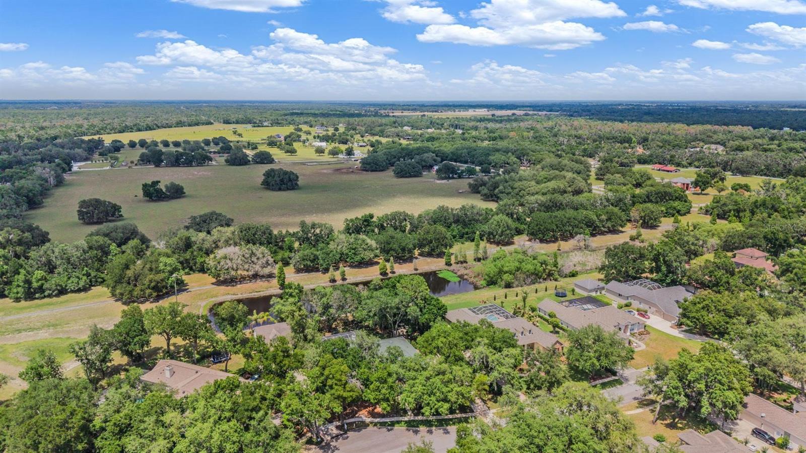 6004 HAMMOCK HILL AVE, LITHIA, FL, 33547